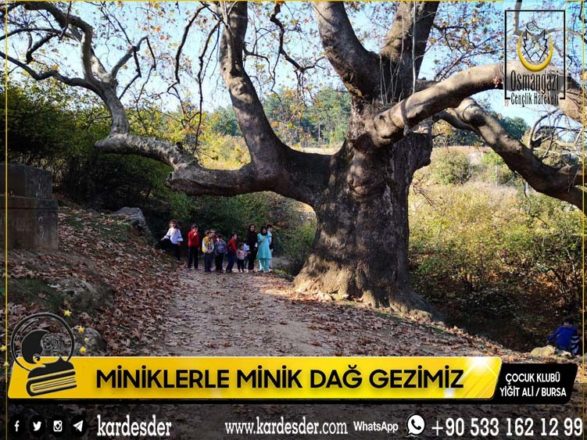 mİnİklerle mİnİk daĞ gezİntİmİz 06