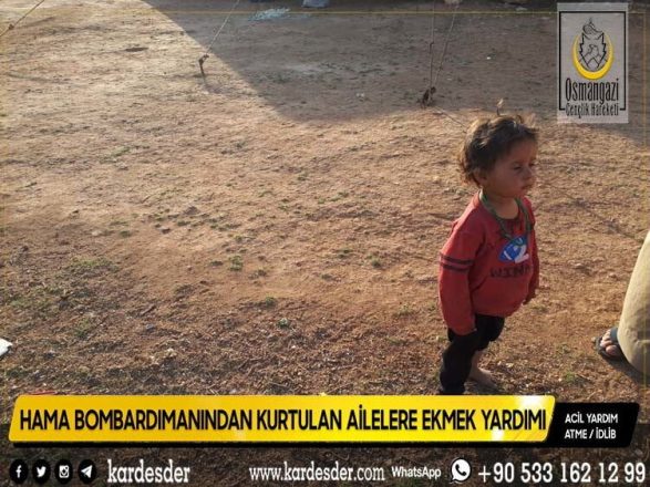 zeytİnlİklerde yaŞayan kardeŞlerİmİze ekmek tesellİsİ 05