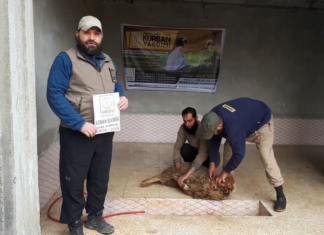 akika adak hayir ve sukur kurbanlarinizi mazlumlara ulastiriyoruz 02