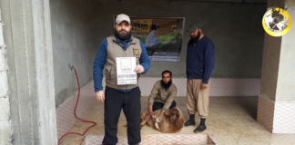 akika adak hayir ve sukur kurbanlarinizi mazlumlara ulastiriyoruz 03