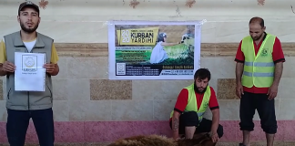 kurban etlerinizi idlib in yetimlerine ulastiriyoruz 01