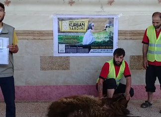kurban etlerinizi idlib in yetimlerine ulastiriyoruz 01