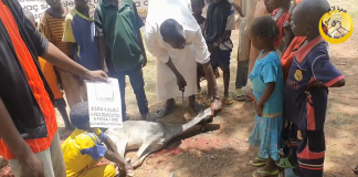kurban bagislariniz ile afrika nin yetimlerine sahip cik 01