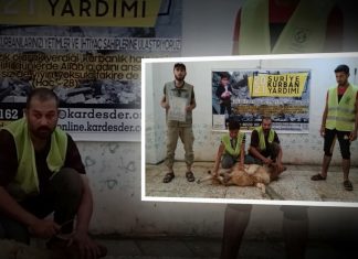 kurban bagislariniz suriye de umut oluyor 01