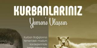 yemene kurban akika adak ve hayir kurbani 01