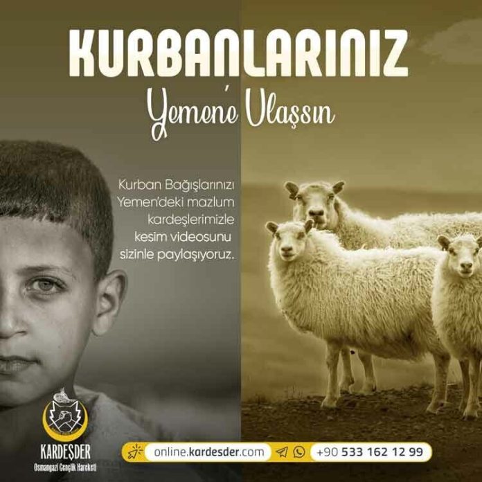 yemene kurban akika adak ve hayir kurbani 01 yemene kurban akika adak ve hayir kurbani 01
