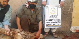 Sen De Afgan Kardeslerine Bir Kurban Gonder