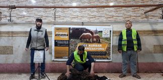 Idlib De Hayir Kurbani Kesimlerimiz Suruyor