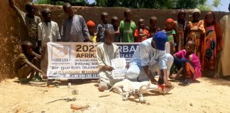 Afrika Da Akika Kurban Kesimlerimiz Suruyor