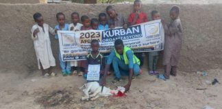 Kurban Bagislarinizi Afrika Ile Bulusturuyoruz