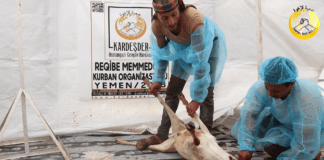 Kurban Bagisin Ile Gonullere Dokun Gonuller Kazan