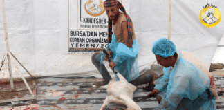 Kurban Bagislariniz Yemen E Ulassin