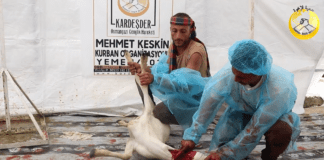 Kurban Yemen De Kucaklasmak Demek