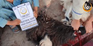 Kurbanin Afganistan Da Ihtiyac Sahiplerine Ulassin