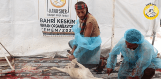 Kurbanlariniz Yemen De Sevinc