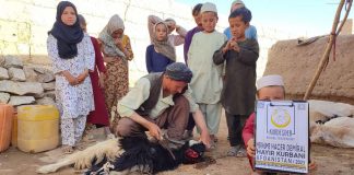 Kurbanin Afganistan Da Yetim Ve Mazlumlar Icin Sevinc Olsun