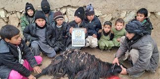 Afganistan Da Kardeslige Giden Yol Kurban Bagisi
