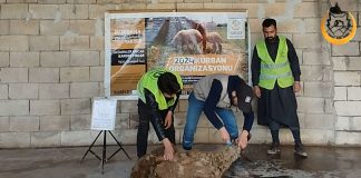 Kurban Bagislarinizi Suriye Deki Mazlum Kardeslerimize Ulastiriyoruz