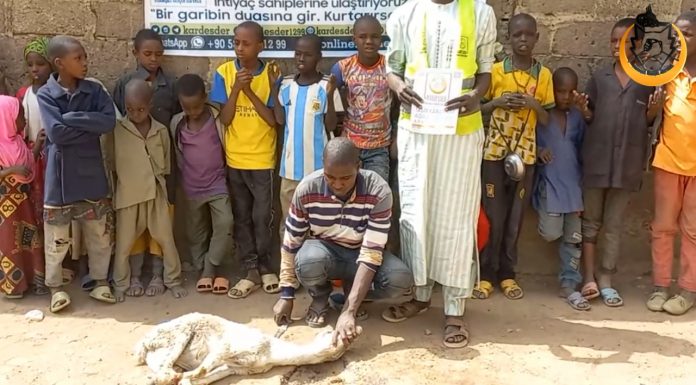 Kurban Bagislarinizi Bekleyen Kara Kita Afrika