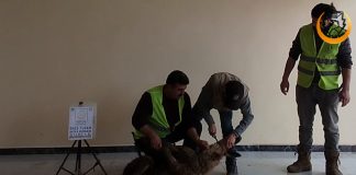 Kurban Bagislariniz Ile Mazlumlarin Umudu Olun