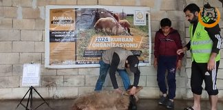 Idlib Te Kardesligin Adi Kurban