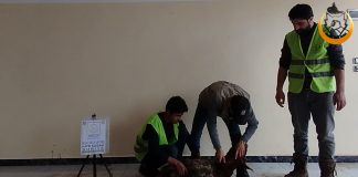Idlib Te Kurban Bagislariniz Ile Guzel Seyler Oluyor
