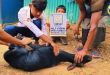 KURBANLARINIZ, ARAKANLI KARDEŞLERİMİZİN ÜMİDİ photo_2024-06-24_18-29-21