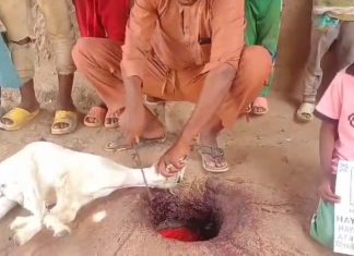 Afrika İçin Kurban Bağışı: İhtiyaç Sahiplerinin Duasını Alın photo 2025 04 25 16 25 28