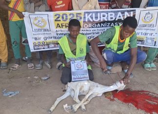 Afrika’nın Yetimlerine Kurban Sevinci Taşı photo 2025 04 15 09 55 25