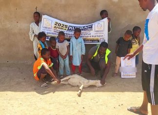 Afrika’da Bir Kurban Sevinci de Senin Sayende Yaşansın photo 2025 04 24 12 07 43