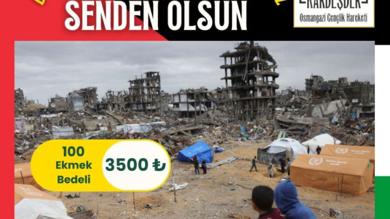 Koyu Yeşil Açık Sarı Temiz Kurumsal Tarzda Türkiye/Suriye D