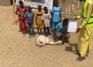 Afrika’daki Mazlumların Sofrasına Kurbanla Misafir Ol photo 2025 05 02 17 14 11