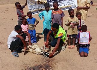 Afrika’da Bir Kurban, Bir Umut, Bir Dua photo 2025 05 14 15 46 14