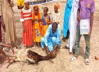Afrika’daki Yetimlere Kurbanla Ulaşın photo 2025 05 31 19 26 42