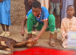 Afrika’da Kurbanla Gelen Kardeşlik photo 2025 06 21 18 23 23
