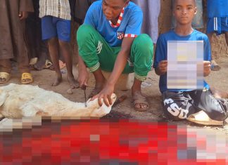 Afrika’ya Kurban Sevinci Yaşatmak İster Misin? photo 2025 06 18 15 51 31