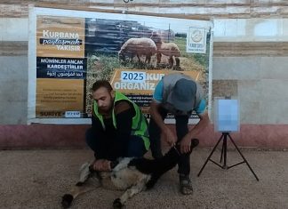 İdlib’de Bir Kurban, Bin Umut photo 2025 06 20 19 18 17