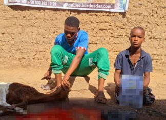Kurban Bağışın İle Afrika’daki Mazlumlara Kurban Sevincini Yaşat photo 2025 06 18 20 10 10