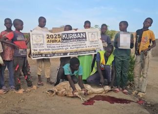 Kurbanını Afrika’ya Gönder, Bir Gönüle Dokun photo 2025 06 23 17 47 51