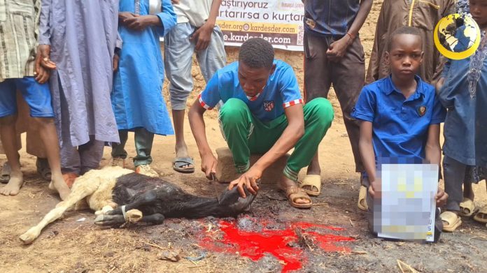 Kurban Sevincini Afrika'ya Yaymak İster Misin? — 25