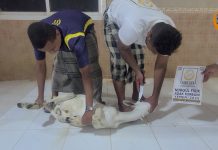 Kurbanınız Yemen’in Sevinci Olsun photo 2025 07 20 22 32 13