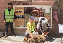 İdlib’de Yetimlerin Sofrasına Kurbanla Misafir Ol photo 2025 10 24 16 54 53