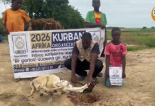 Kurban Sevincini Afrika’ya Birlikte Ulaştıralım