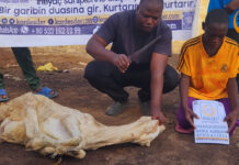Sizin Kurbanınız, Afrika’nın Sevinci