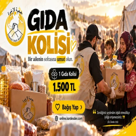 07 gida kolisi 1500 tl